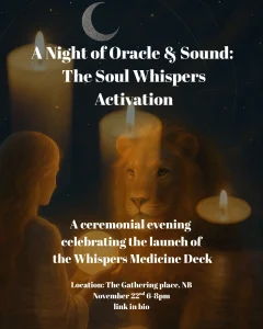 a-night-of-oracle-and-sound